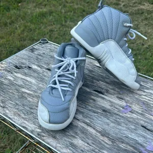 Nike Boys Air Jordan12,size 13 youth,151186-015 Gray &amp; white Basketball  Sneaker