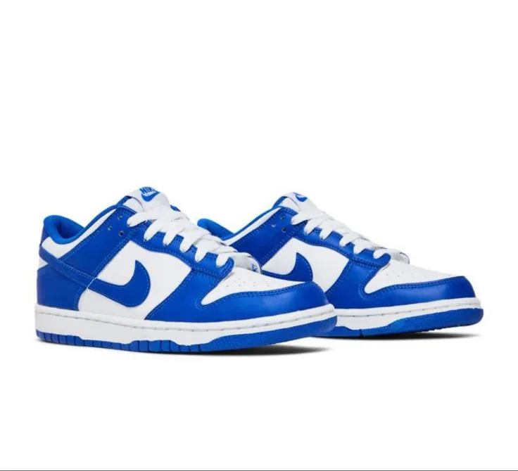 Nike Dunk Low Blue
