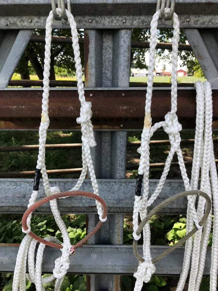 Rope Noseband Mule Tape Halter